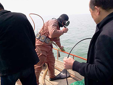 煙臺海洋